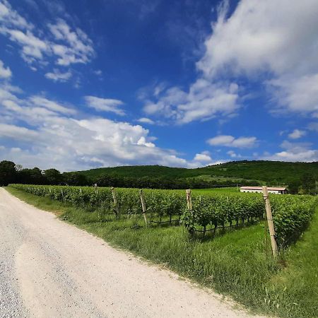 Agriturismo Andreis Alloggi Illasi エクステリア 写真